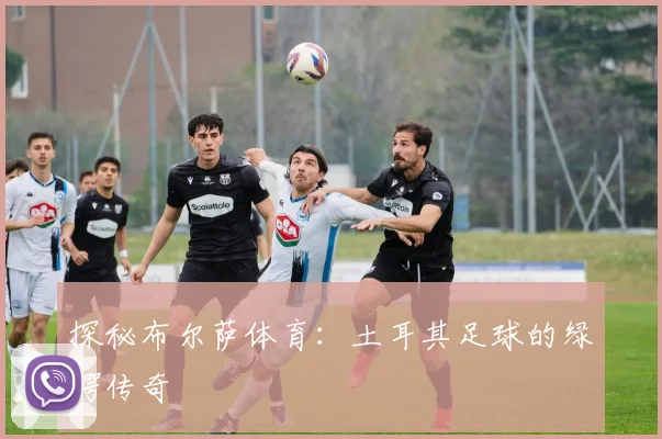 探秘布尔萨体育：土耳其足球的绿鳄传奇