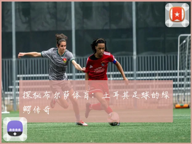 探秘布尔萨体育：土耳其足球的绿鳄传奇