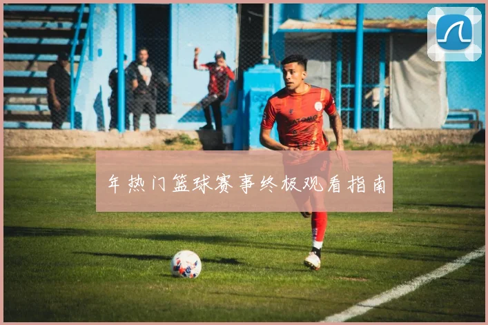 年热门篮球赛事终极观看指南