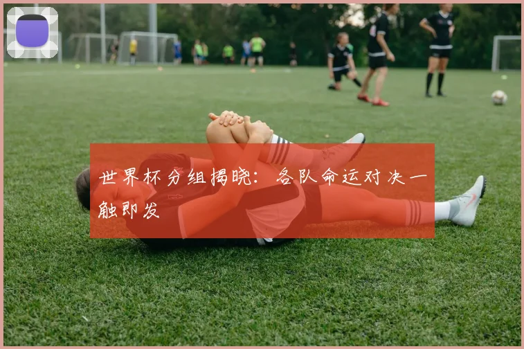 世界杯分组揭晓：各队命运对决一触即发