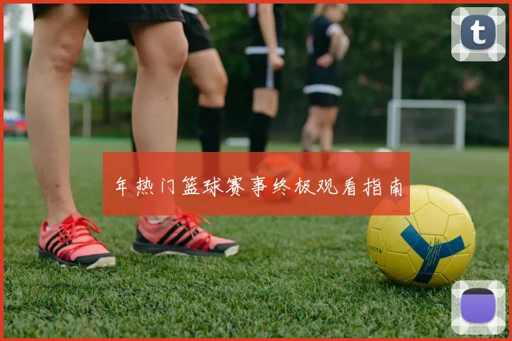 年热门篮球赛事终极观看指南